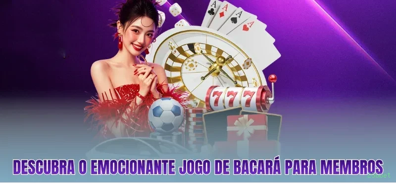 256bet PIX